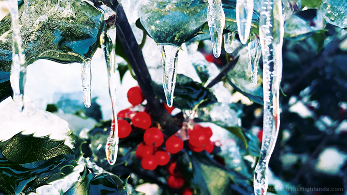 Frozen berries and icicles